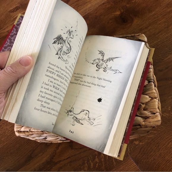 How to Train Your Dragon, book 1, special collector’s edition, hardcover book - Picture 4 of 7